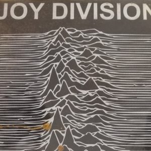 7685b2_273f4beced704b01a430838c4ea5358c_mv2