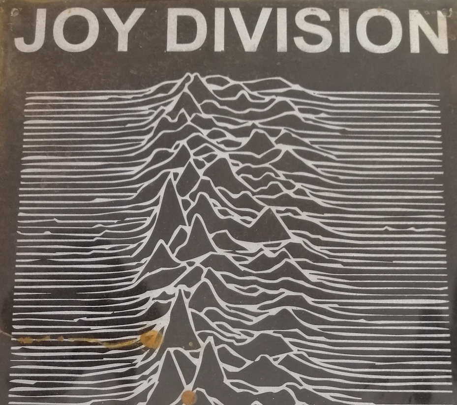 7685b2_273f4beced704b01a430838c4ea5358c_mv2