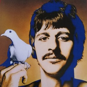 7685b2_90f4342f4dd1436d87df35bdd5afdcdf_mv2