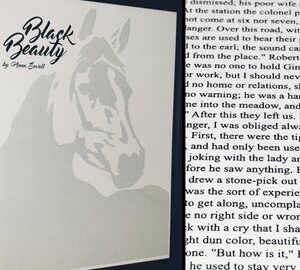 Black Beauty 50x70cm Print
