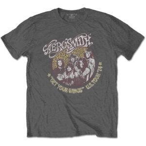 Aerosmith T-Shirt